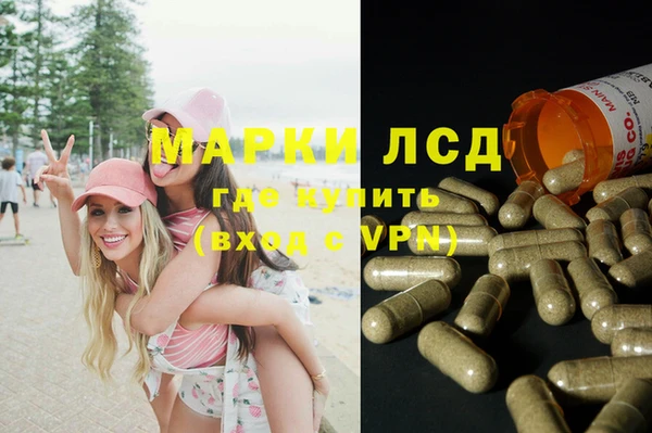 мяу мяу мука Михайлов