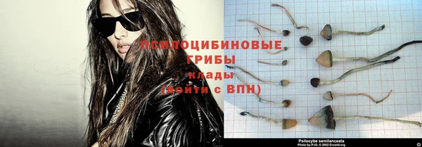 мяу мяу мука Михайлов