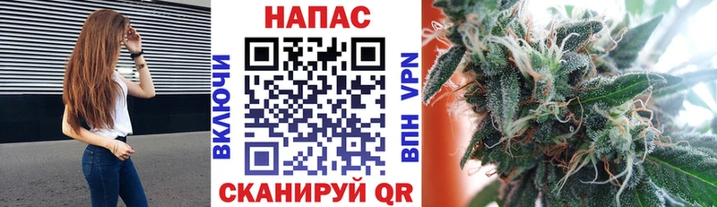 Бошки Шишки гибрид  Купить где  Кимовск 